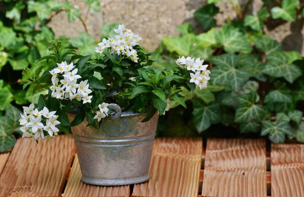 prepara tu jardin