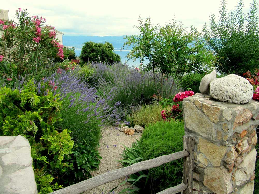 prepara tu jardin