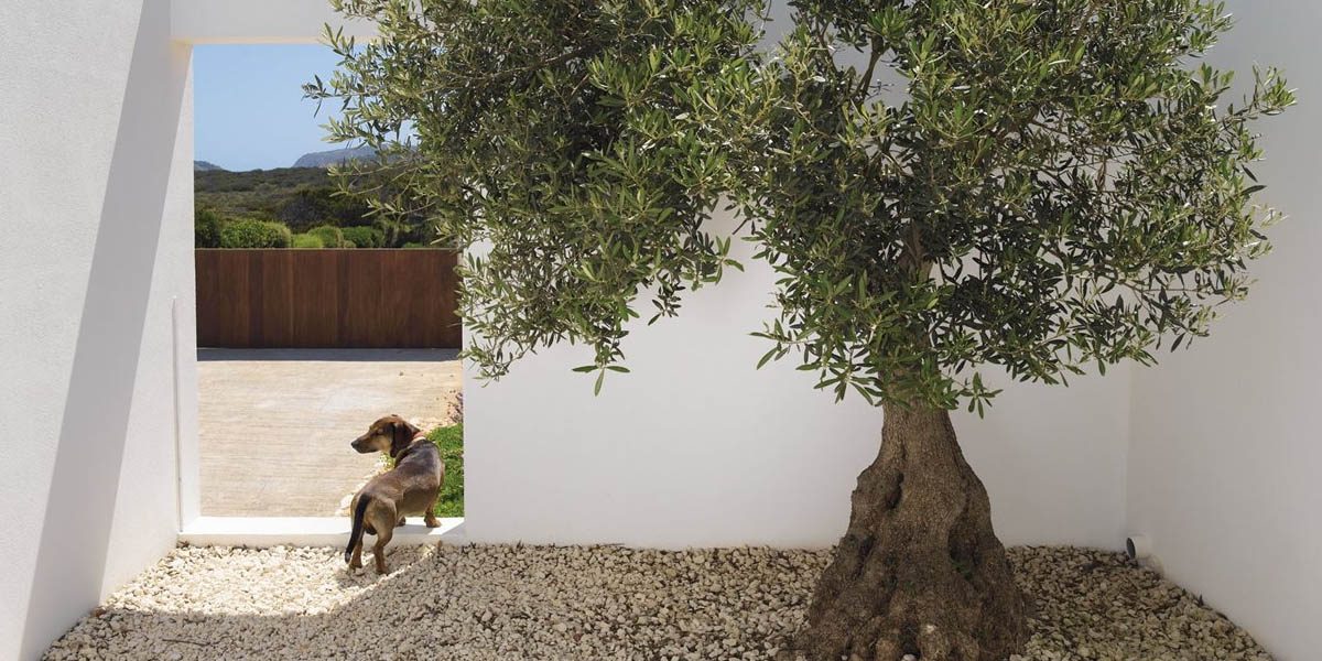 jardin_mediterraneo